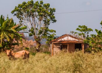 Sítio chácara terreno rural precisa