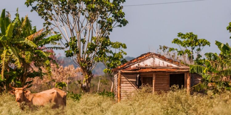 Sítio chácara terreno rural precisa