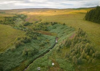 Região mil hectares será transformada