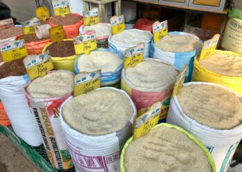 Seca tirar milhões toneladas arroz