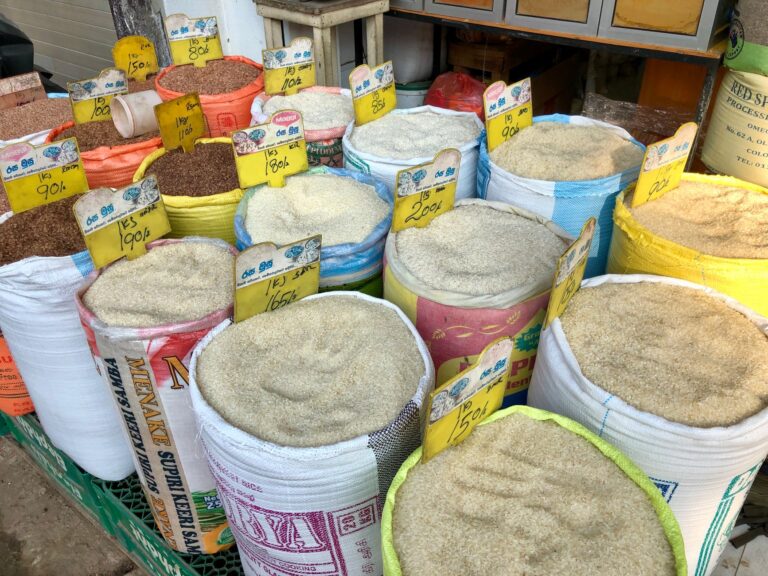 Seca tirar milhões toneladas arroz
