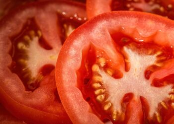 Tomate chamado maçã venenosa tinham