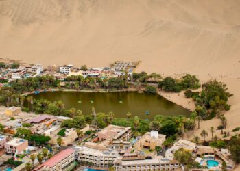 Deserto quase chuva virou grandes