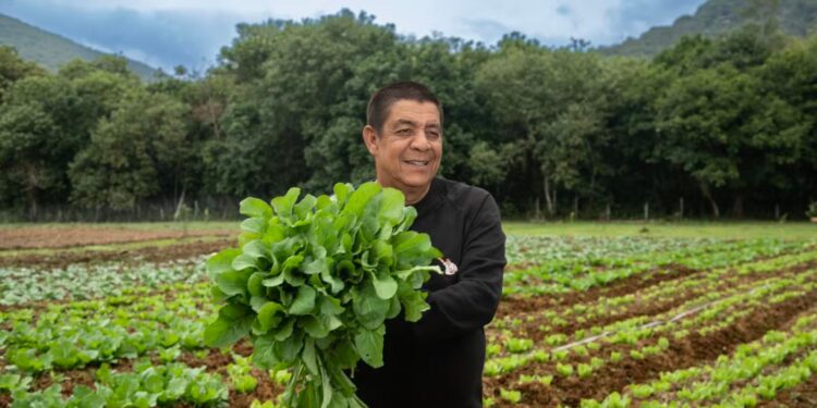 Zeca pagodinho transforma mansão ponto