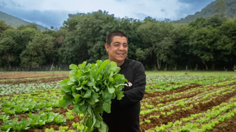 Zeca pagodinho transforma mansão ponto