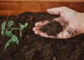 Produtor rural pode estar gastando dinheiro à toa com fertilizantes sem perceber: análise de solo revela quais nutrientes a terra realmente precisa e ajuda a reduzir desperdícios e aumentar a produtividade das lavouras