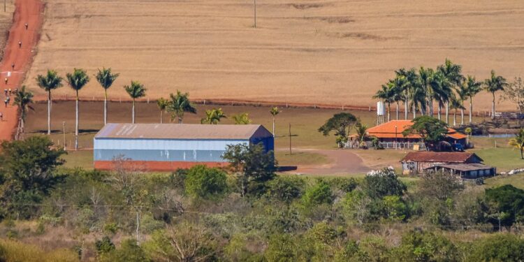 Depois de conquistar uma casa espaçosa com 7 quartos, casal tomou uma decisão inesperada e trocou o imóvel por uma fazenda abandonada