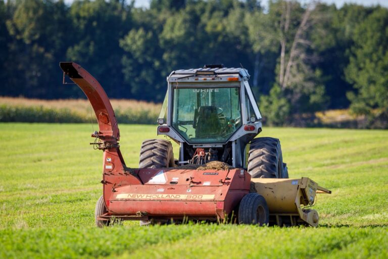 Agricultor transforma pneus velhos sacolas