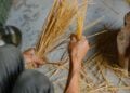Agricultora recebe sementes presente faz