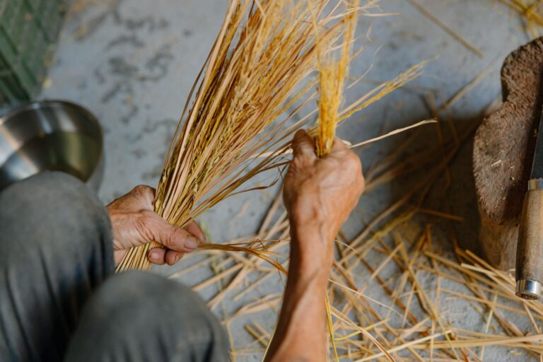 Agricultora recebe sementes presente faz