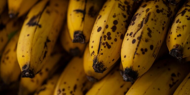 Bananas rejeitadas manchas casca ganham