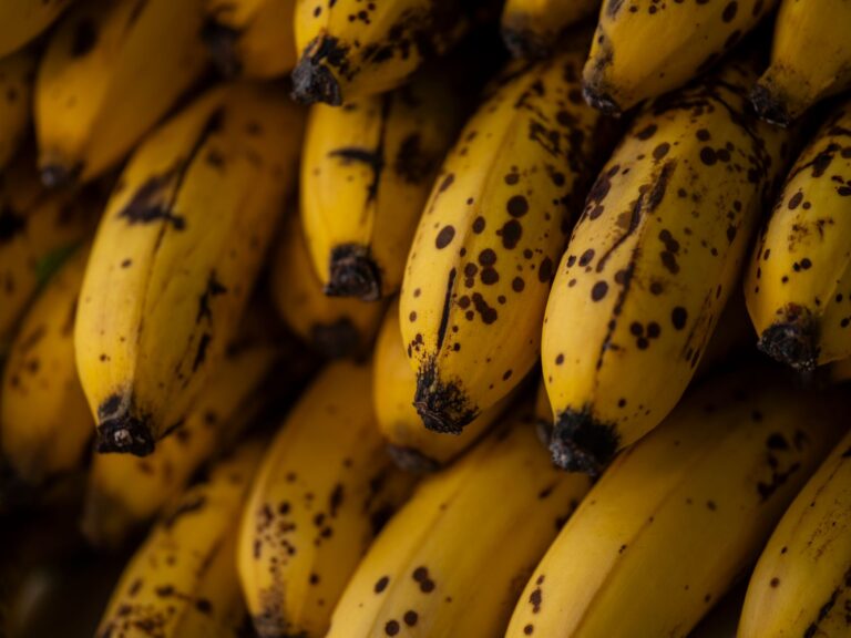 Bananas rejeitadas manchas casca ganham