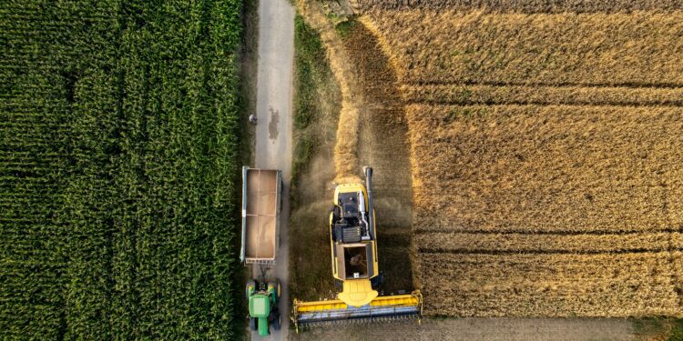 Quase 1 milhão de propriedades rurais brasileiras já são comandadas por mulheres, mas um dado chama a atenção: juntas, elas administram cerca de 30 milhões de hectares e ainda enfrentam desigualdade de renda e dificuldades para ampliar sua participação no agronegócio