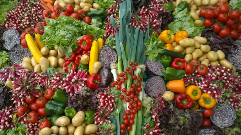 Casal criado planta verduras primeira