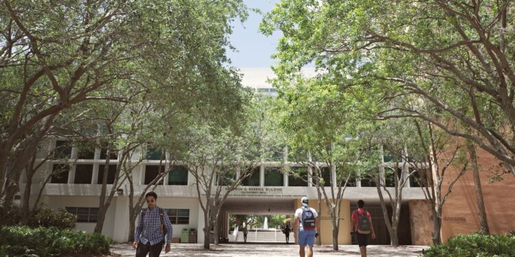 Casal conhece faculdade jornalismo abandona