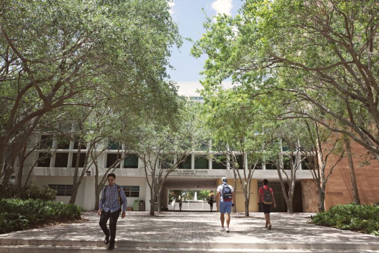 Casal conhece faculdade jornalismo abandona