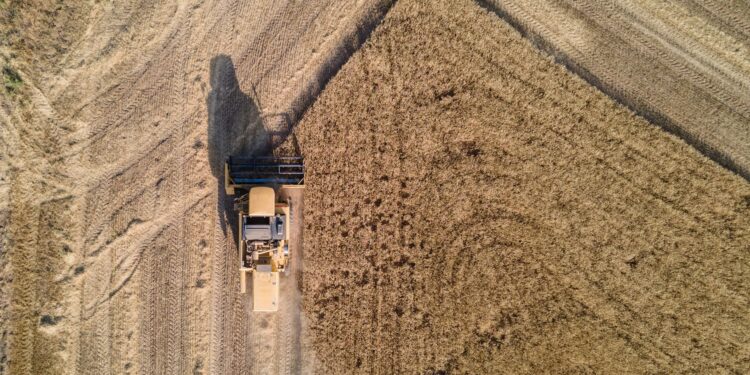 Cirurgia coração agricultor recupera máquina