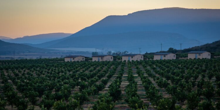 Família cultiva terra enfrenta avanço
