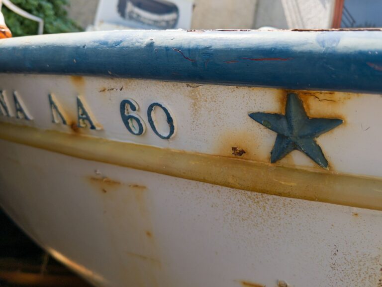 Fazendeiro mostra barco esquecido alto