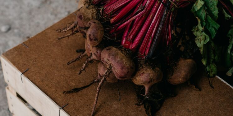 Homem planta beterraba chega quilos