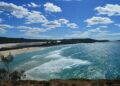 Ilha australiana enviou cavalos selvagens