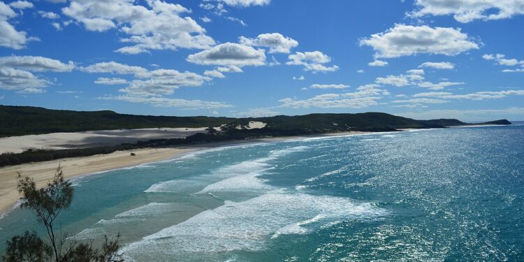 Ilha australiana enviou cavalos selvagens