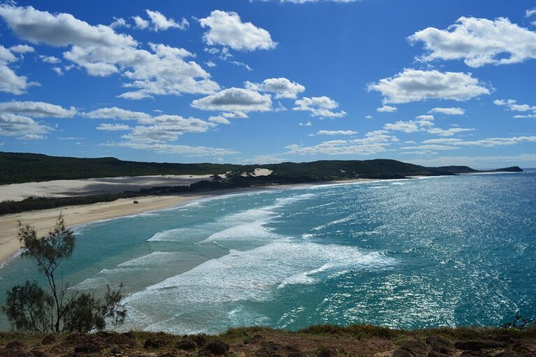 Ilha australiana enviou cavalos selvagens