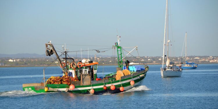 Limite pesca cair toneladas filé