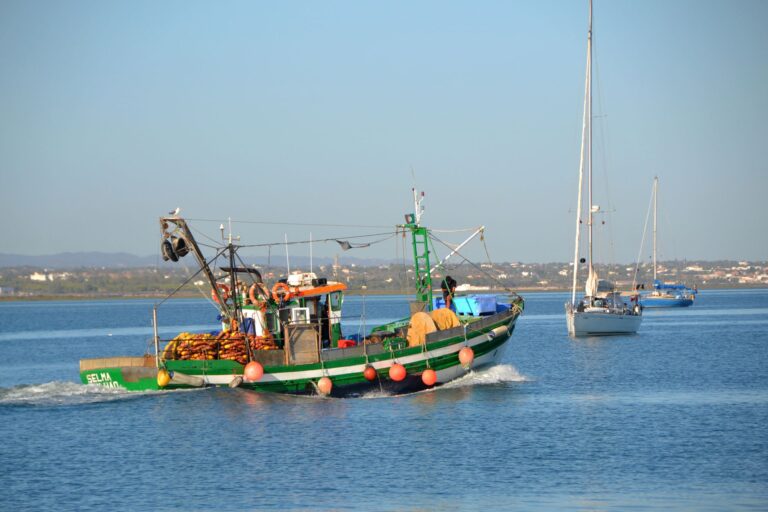 Limite pesca cair toneladas filé