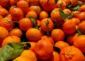 Mil laranjas transformadas esculturas gigantes