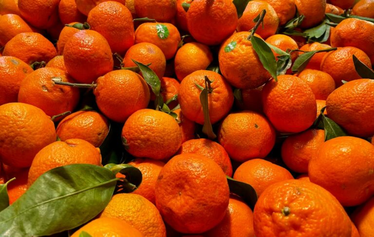 Mil laranjas transformadas esculturas gigantes