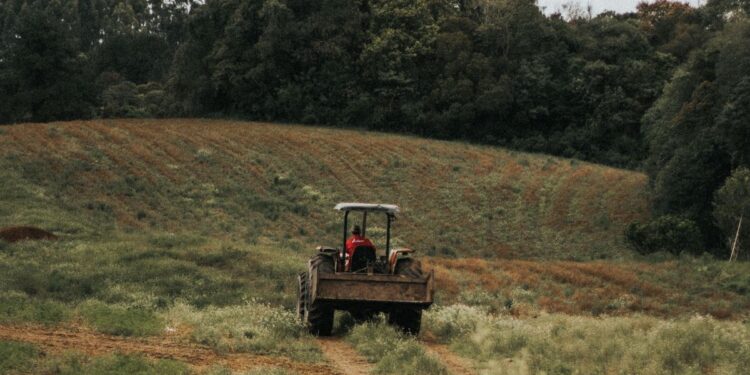 Além da música, cantor sertanejo também investe pesado no campo com fazenda de 14 mil hectares que reúne criação de gado, lavouras de soja e milho e até uma casa na árvore onde os filhos aproveitam os momentos longe da rotina de shows