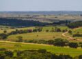 Fazenda brasileira já ocupou 152 mil hectares, tinha aeroporto próprio e centenas de quilômetros de estradas, além de escolas, mercados e igrejas; décadas depois, a propriedade passou por uma transformação que integrou soja, criação de gado e preservação ambiental