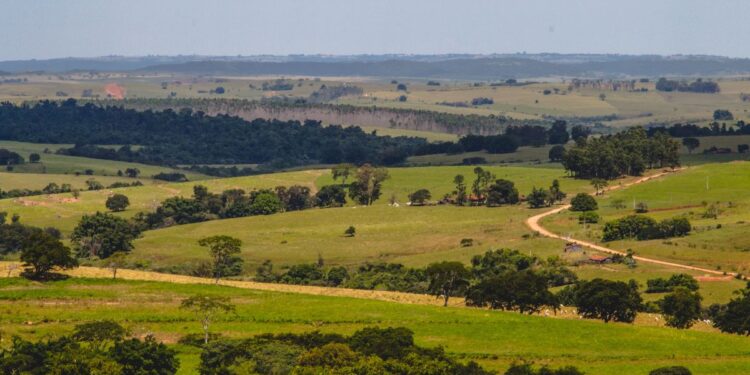 Fazenda brasileira já ocupou 152 mil hectares, tinha aeroporto próprio e centenas de quilômetros de estradas, além de escolas, mercados e igrejas; décadas depois, a propriedade passou por uma transformação que integrou soja, criação de gado e preservação ambiental