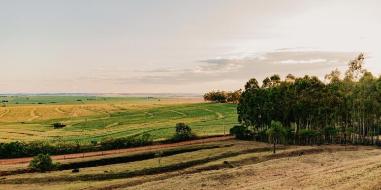 Dupla sertaneja constrói fazenda de mais de 1.300 hectares no Tocantins com duas mansões, aeroporto privativo e piscina de borda infinita, mas a propriedade vai muito além do luxo: são cerca de 620 cabeças de gado e leilões que movimentaram R$ 56 milhões em um único evento