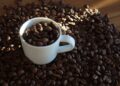 Uma fazenda fundada no século XIX virou referência internacional em cafés especiais: localizada a cerca de 1.650 metros de altitude, propriedade reúne 320 hectares cultivados, mais de 1 milhão de cafeeiros e um modelo de produção que combina cultivo à sombra e métodos orgânicos