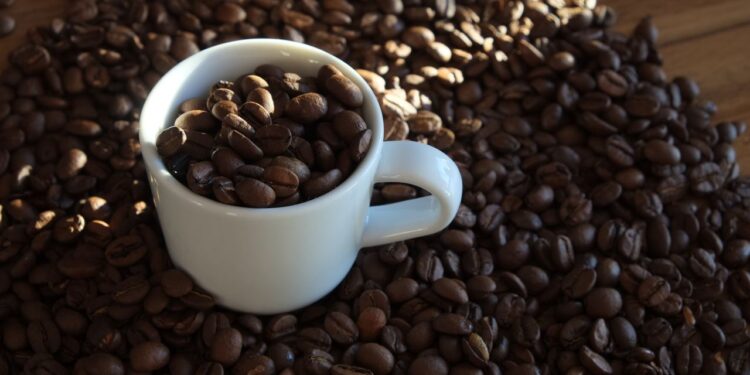 Uma fazenda fundada no século XIX virou referência internacional em cafés especiais: localizada a cerca de 1.650 metros de altitude, propriedade reúne 320 hectares cultivados, mais de 1 milhão de cafeeiros e um modelo de produção que combina cultivo à sombra e métodos orgânicos