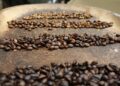 Segundo maior produtor café brasil