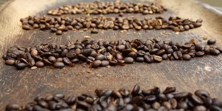 Segundo maior produtor café brasil