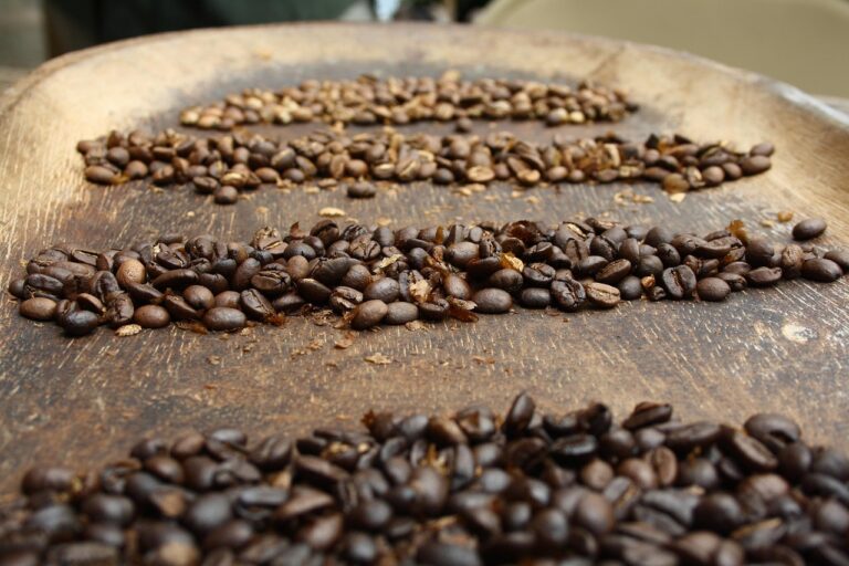 Segundo maior produtor café brasil