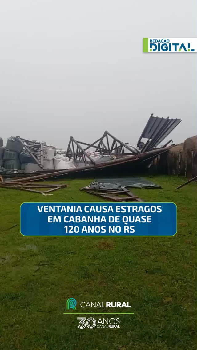 Publicação no Instagram