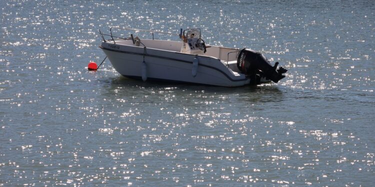 Vizinhos colocam ovelhas bote fazem