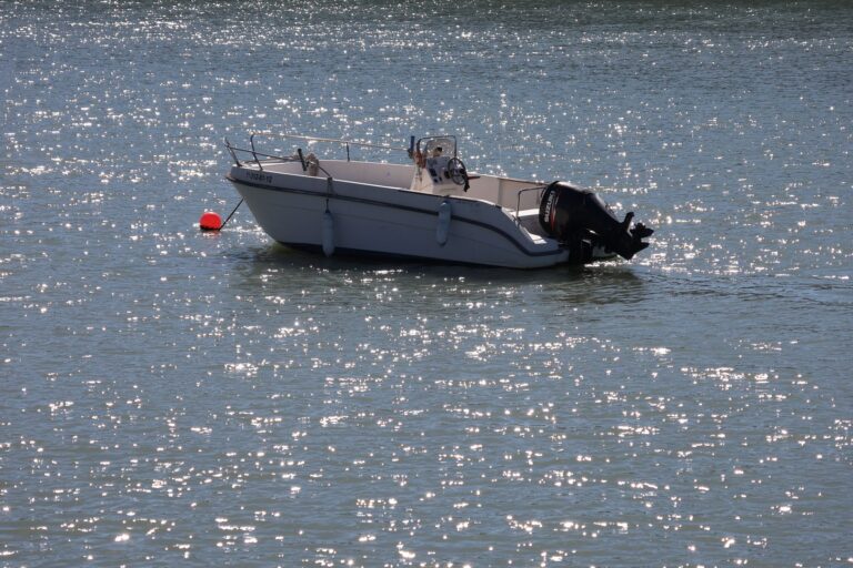 Vizinhos colocam ovelhas bote fazem