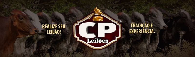 CP Leiloes Imagem2