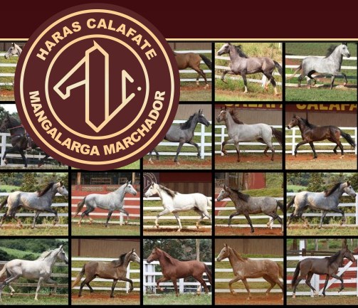 Haras Calafate Imagem