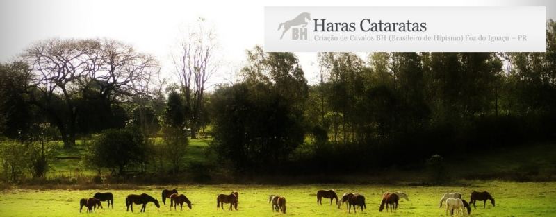 Haras Cataratas Imagem