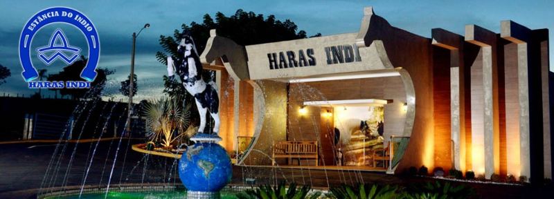 Haras Indi Imagem