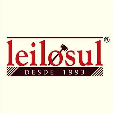 Leilosul Logo