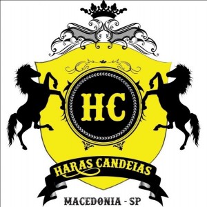 haras candeias