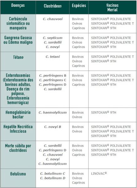 lista de doencas sintoxan